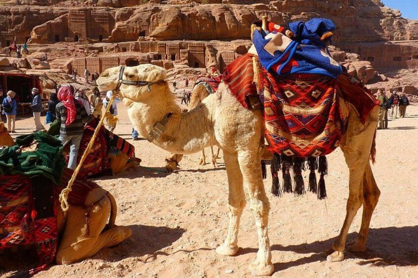 1 Day Tour to Petra From Sharm-el-Sheikh 2