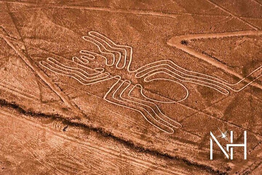 A large, intricate pattern etched into a reddish-brown surface, resembling a stylized animal or abstract design. 1