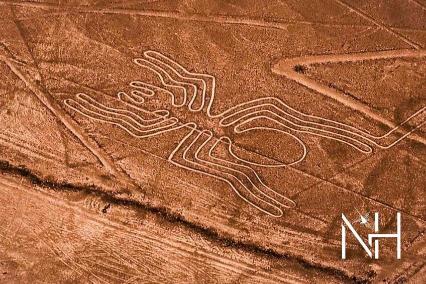 A large, intricate rock carving of a hand with lines and patterns. 1