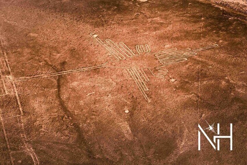 The Nazca Lines flight from Pisco Airport & The Huacachina Oasis 2
