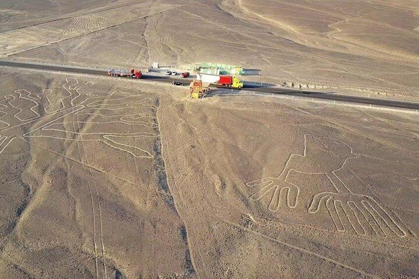The Nazca Lines & Huacachina Oasis from Lima - Private Trip 4