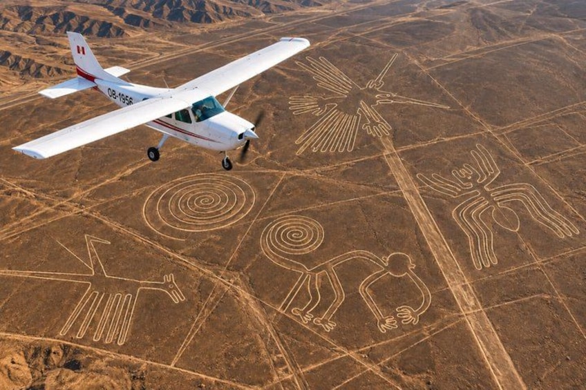The Nazca Lines & Huacachina Oasis from Lima (Private) 1