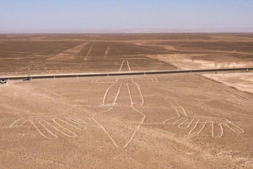 The Nazca Lines & Huacachina Oasis from Lima (Private) 4