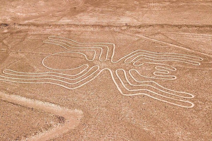 The Nazca Lines & Huacachina Oasis from Lima (Private) 5