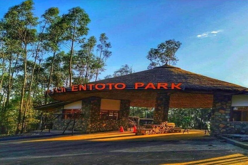 Entoto natural park 1