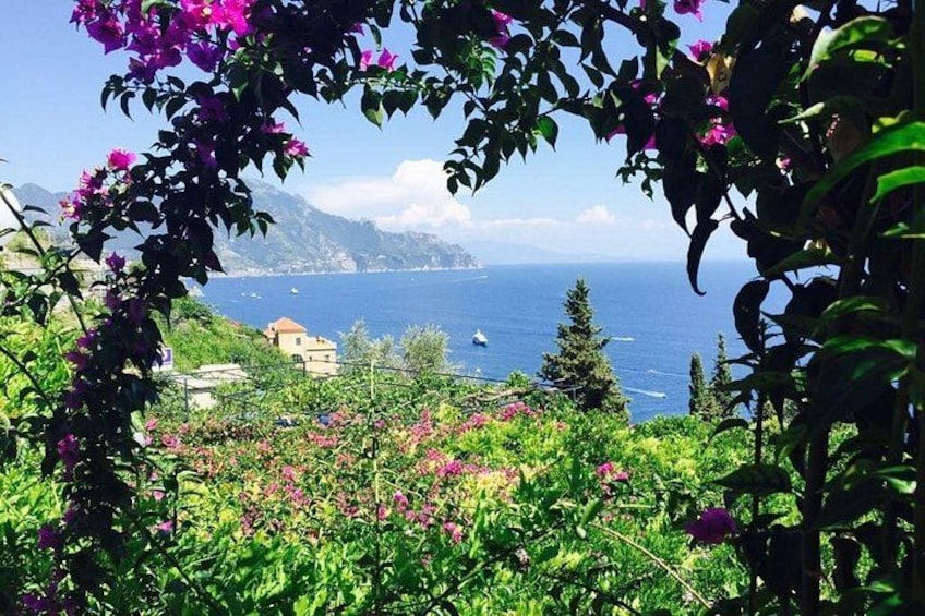 Paisaje costero con abundante vegetación, flores moradas y vistas al mar y montañas distantes. 2