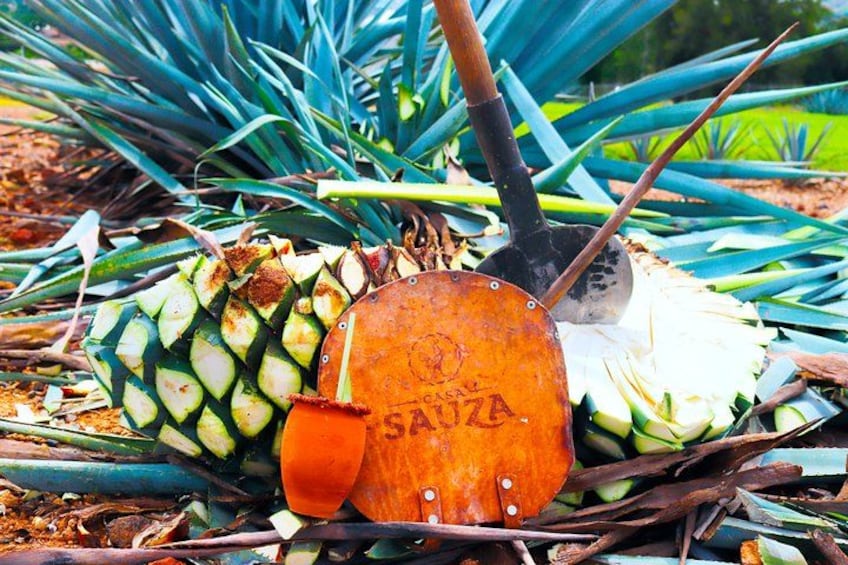 Una piña con una herramienta de metal y una etiqueta que dice 'SAIZA'. 1