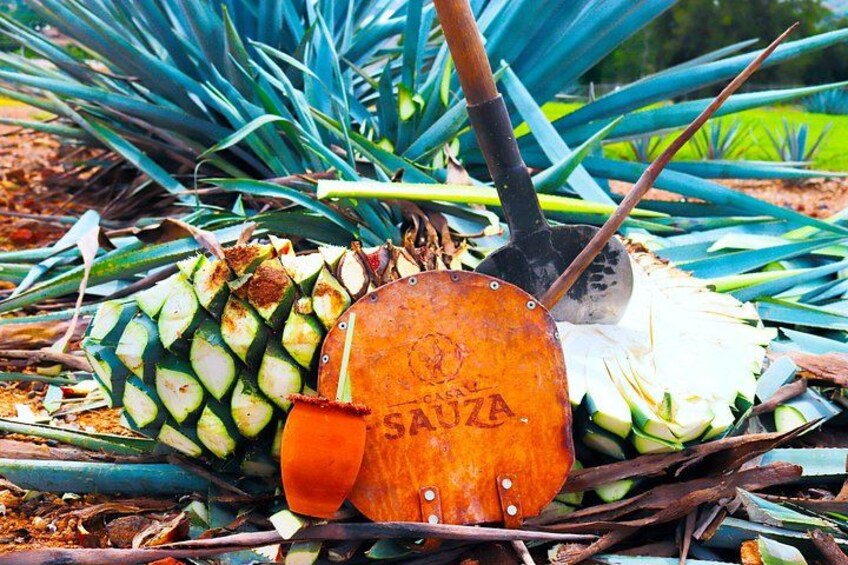 Tequila Express 5