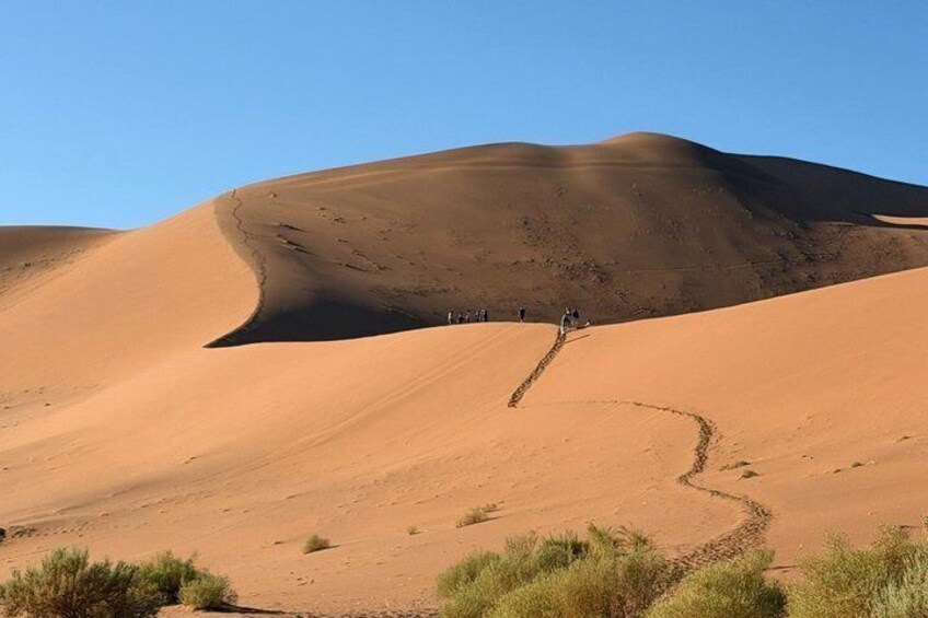 3-Day Sossusvlei & Deadvlei Shared Desert Tour from Windhoek 3