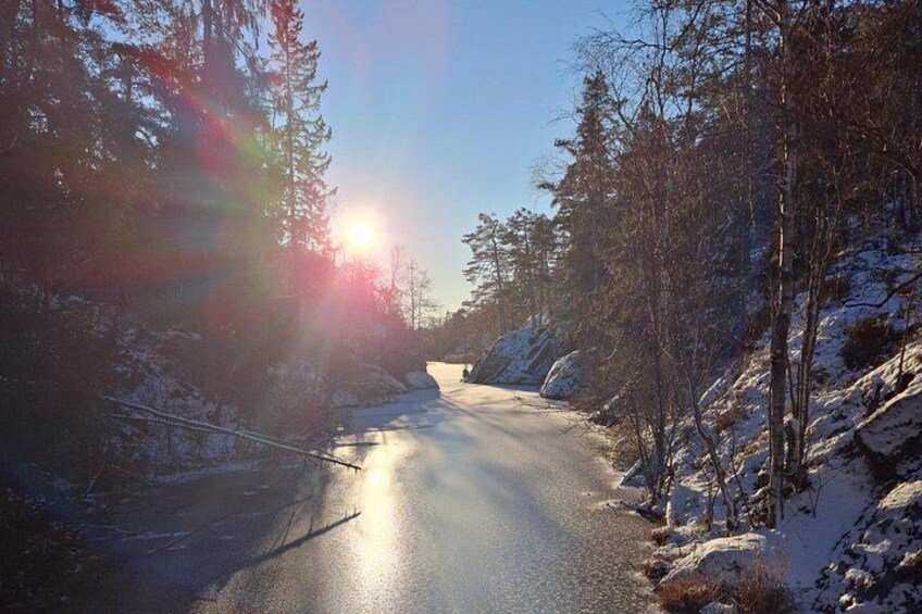 Stockholm: Nature Reserve Hiking Tour with Campfire Lunch 1