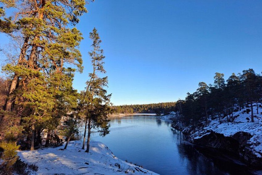 Stockholm: Nature Reserve Hiking Tour with Campfire Lunch 5