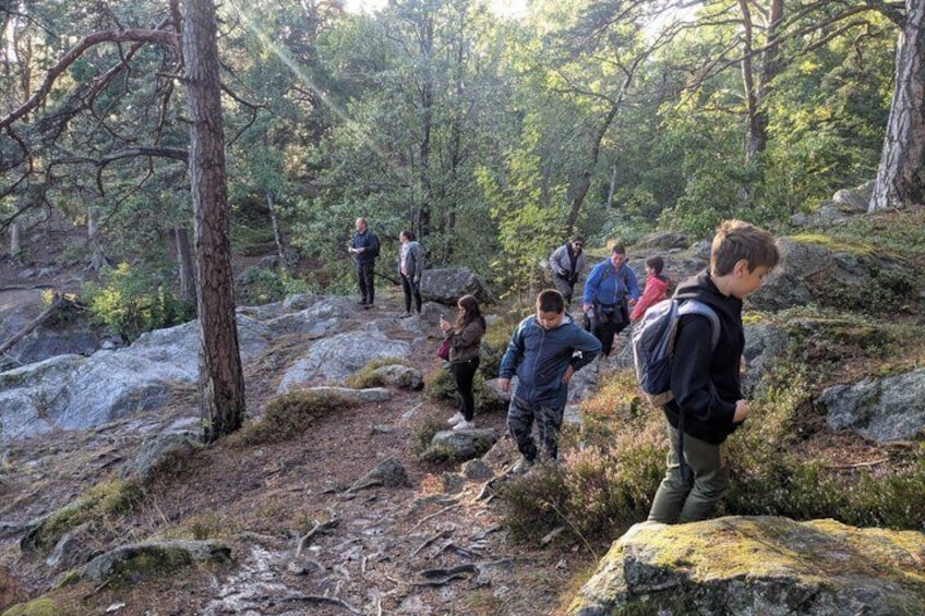 Stockholm: Nature Reserve Hiking Tour with Campfire Lunch 4