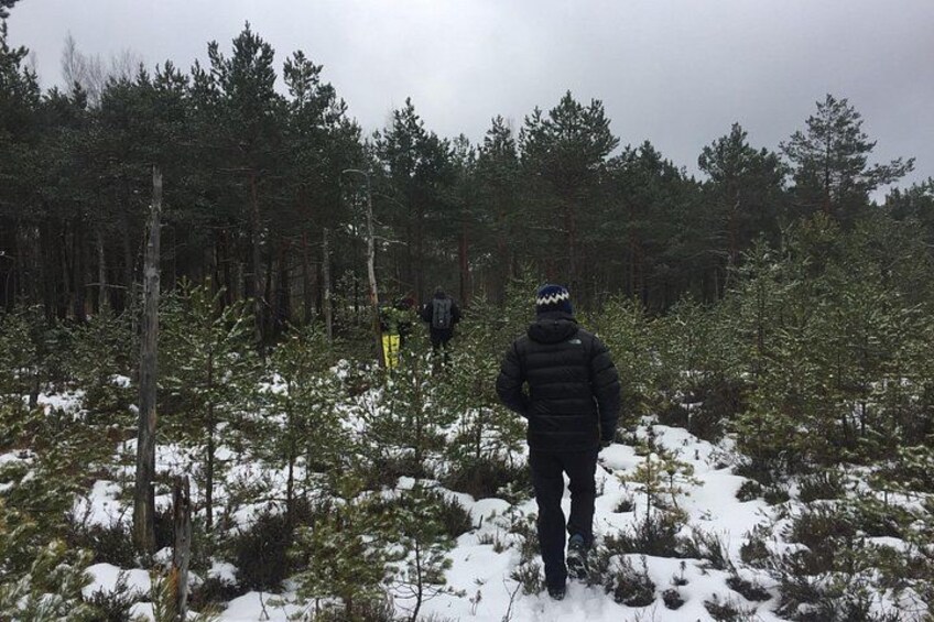 Stockholm: Nature Reserve Hiking Tour with Campfire Lunch 4