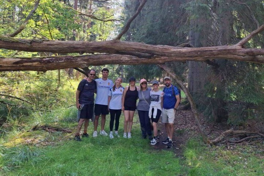 Stockholm: Nature Reserve Hiking Tour with Campfire Lunch 3