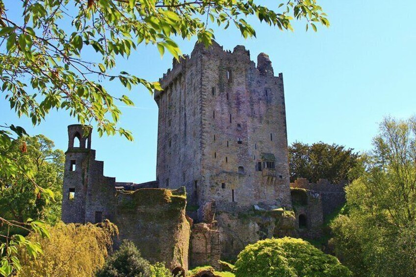 A medieval castle with a tall tower, surrounded by lush greenery and trees. 3