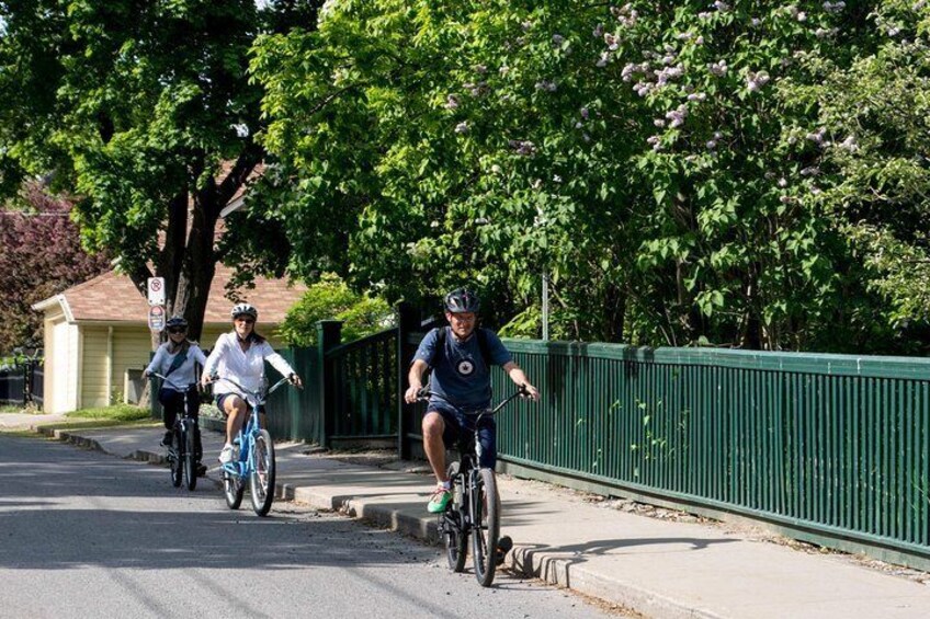 Biking the streets