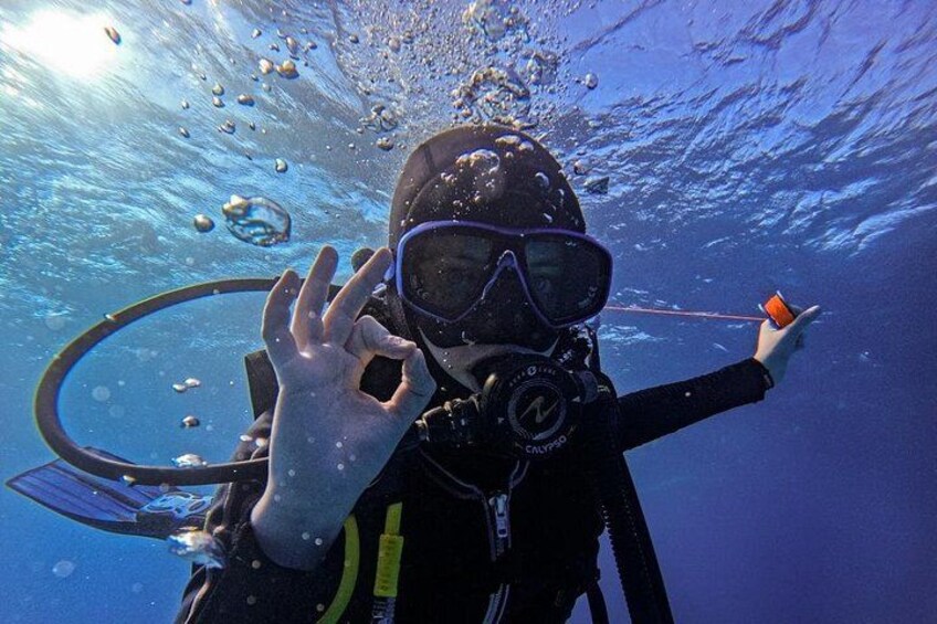 Aquatic Wonderland: Discover Meso's Magic" 2