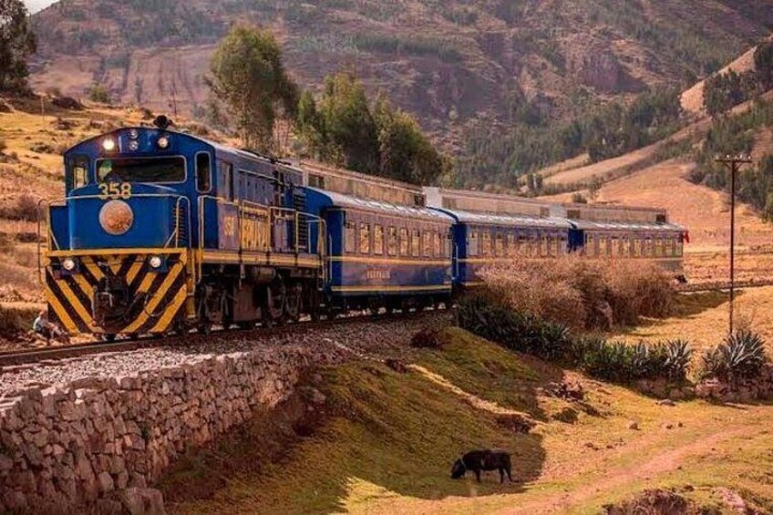 Tren Expeditions 4