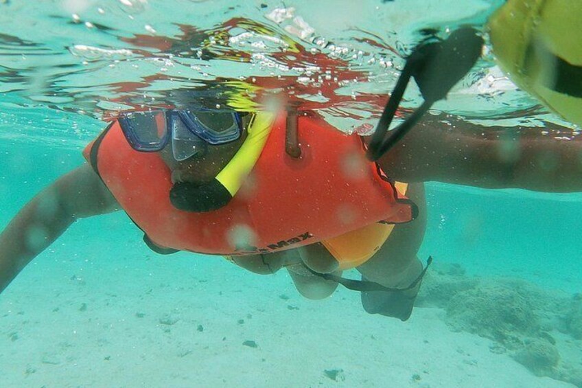 Small Group Snorkeling at Mangel Halto Aruba 2