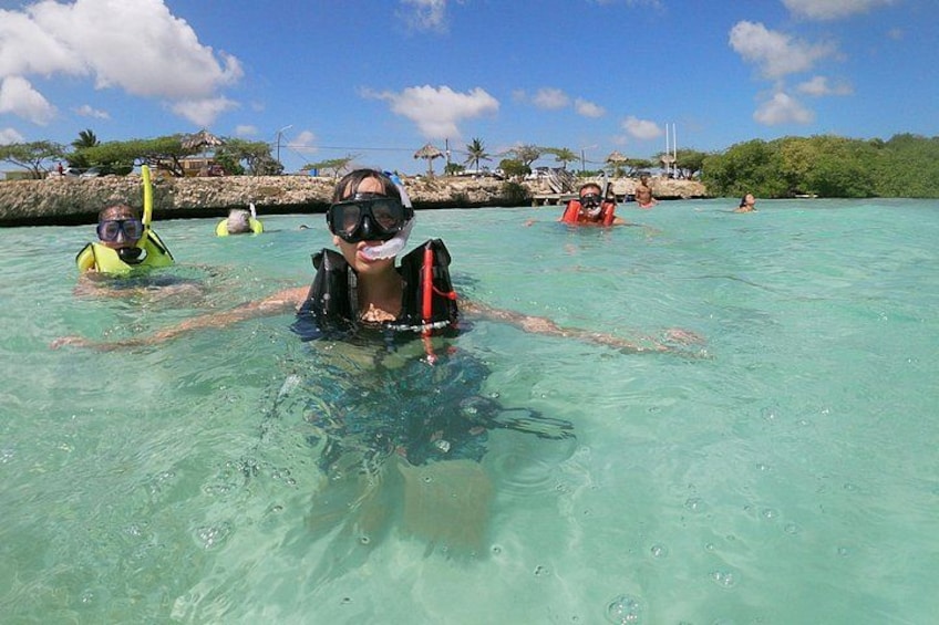 Small Group Snorkeling at Mangel Halto Aruba 2