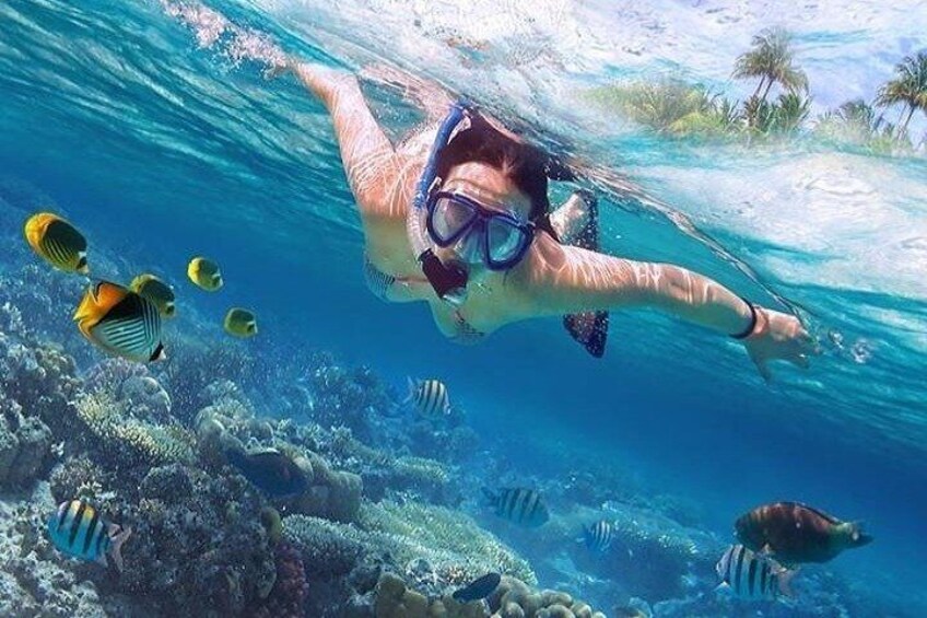Hamata Island snorkeling tour from Marsa Alam 1