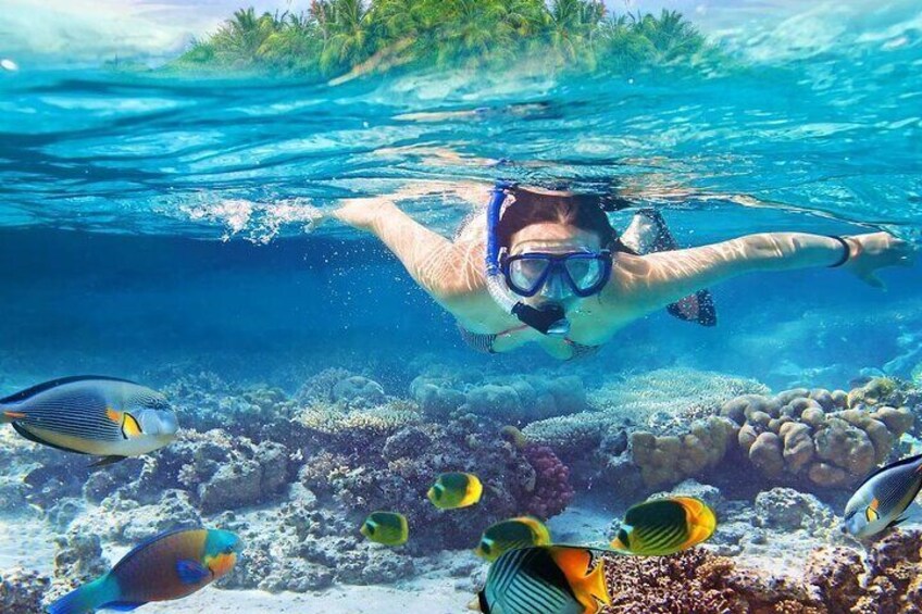 A person snorkeling underwater with tropical fish and coral reefs. 1
