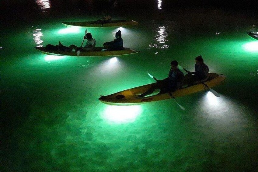 Check out the small fish and crustaceans that are attracted by the LED lights. 3