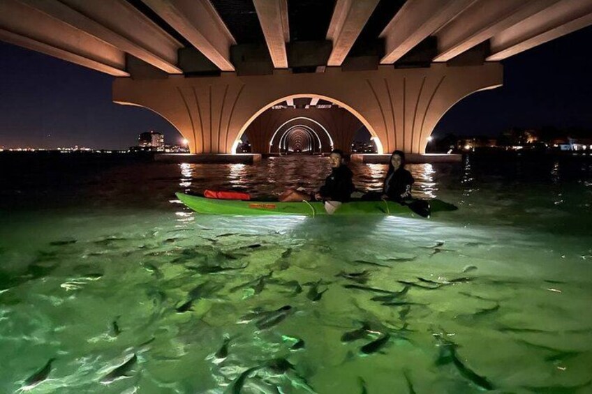 A couple feeding our fish under the bridge. 1