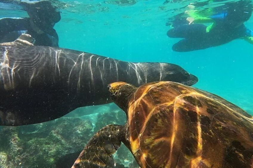 Full Day Tour Pinzon Island + La Fe/Las Palmas - Snorkeling & Fishing 1