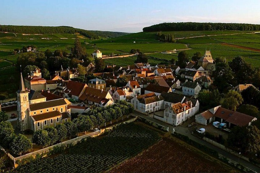 Burgundy Grand Crus Route Day Tour - 14 Wines Tastings in Domains 2