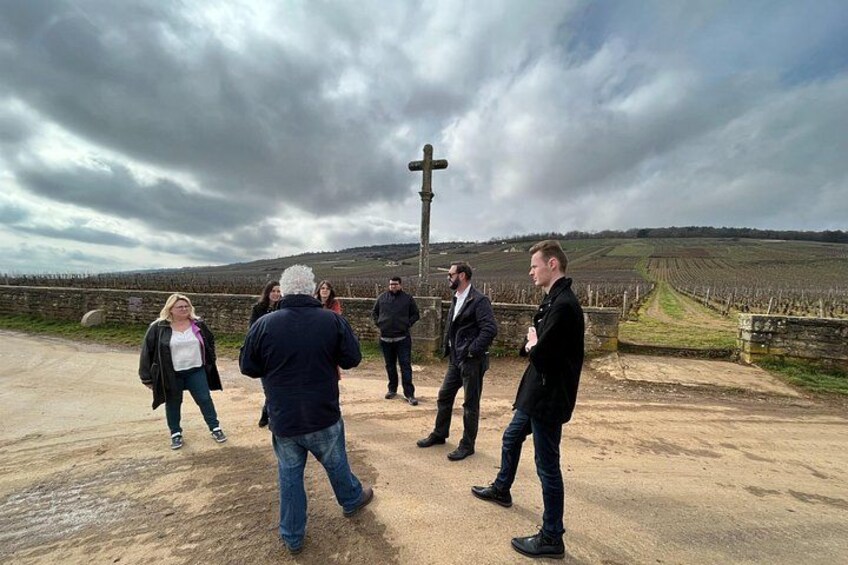 Burgundy Grand Crus Route Day Tour - 14 Wines Tastings in Domains 4