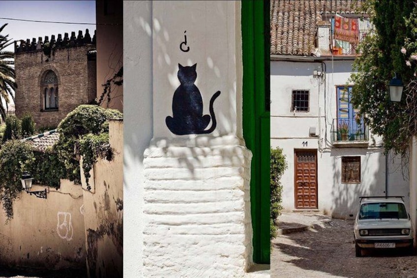 Granada's Hidden Treasures: Albayzin and Sacromonte Walking Tour 4