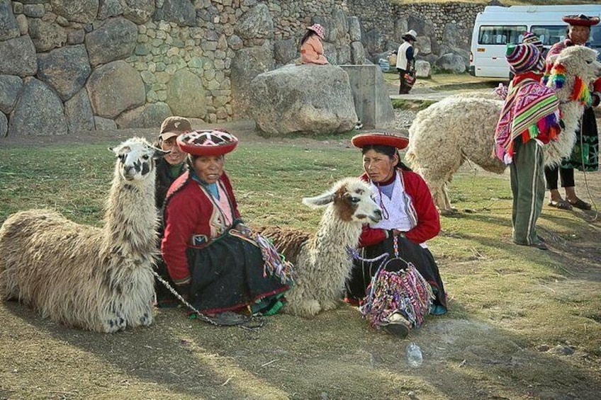 Llamas