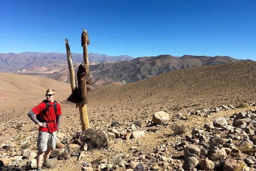 A person standing next to a cactus in a rocky desert landscape with mountains in the background. 4