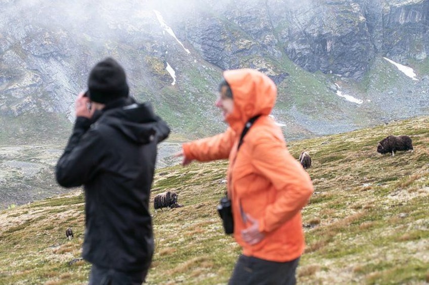 Dos personas en una zona montañosa, una tomando una fotografía y otra señalando. 3