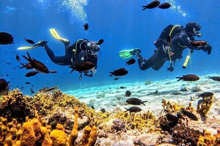 PADI Discover Scuba Diving for Beginners at Ouranoupoli|Chalkidiki|Greece 3