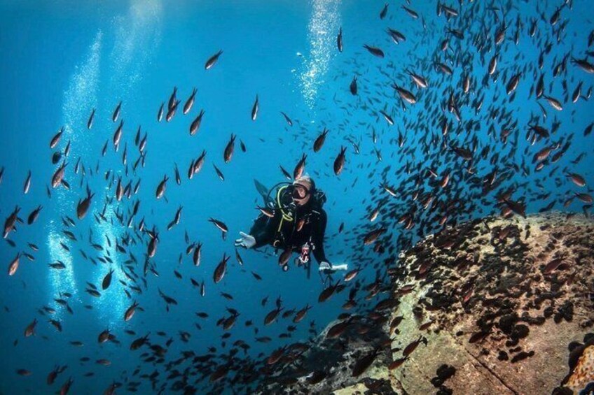 PADI Discover Scuba Diving for Beginners at Ouranoupoli|Chalkidiki|Greece 1