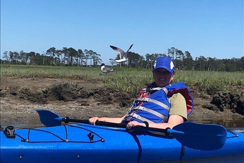 Guided Kayak Tour to see ponies, birds, dolphins and more 5