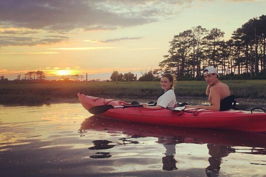 Guided Kayak Tour to see ponies, birds, dolphins and more 4