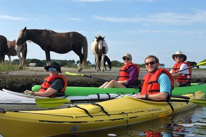 Guided Kayak Tour to see ponies, birds, dolphins and more 4
