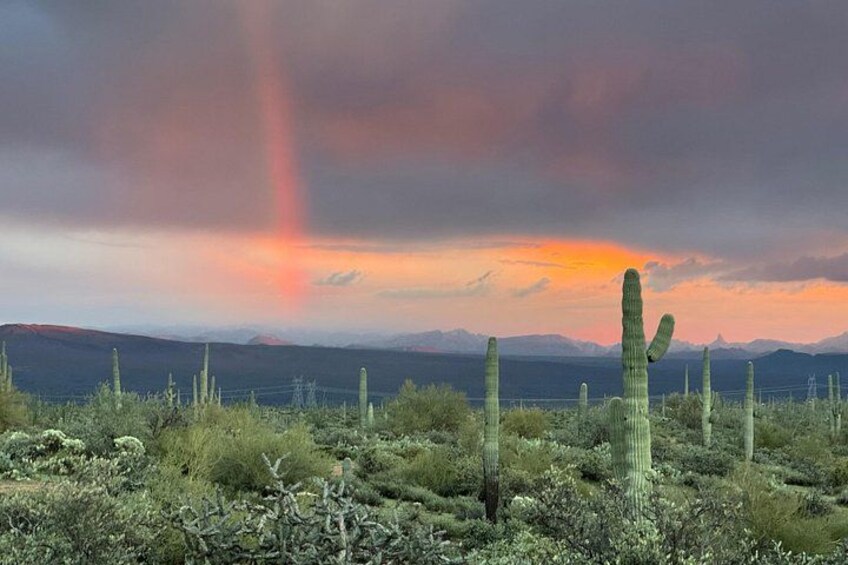 Sonoran Desert Jeep Tour at Sunset 2