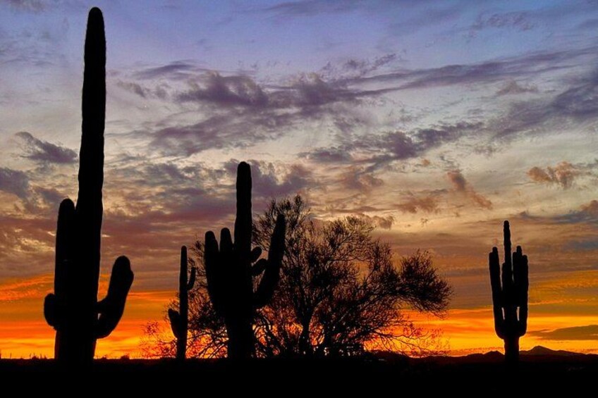 Sonoran Desert Jeep Tour at Sunset 3