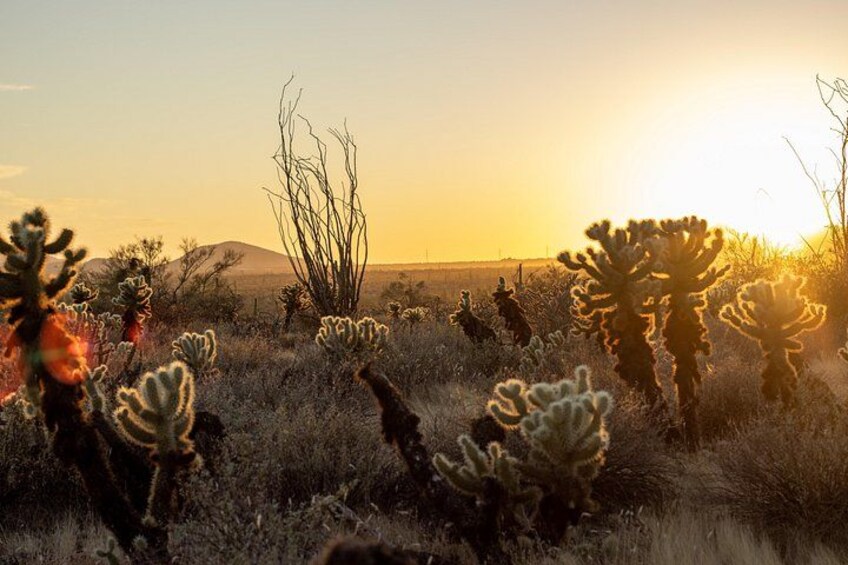 View of the sunset during the nature presentation portion of our Sunset Desert Jeep Tour. 4