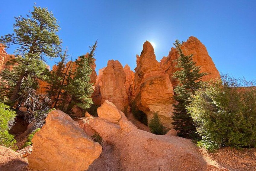 Un paysage rocheux caractérisé par d’imposantes formations rocheuses rouges et des arbres verdoyants. 3