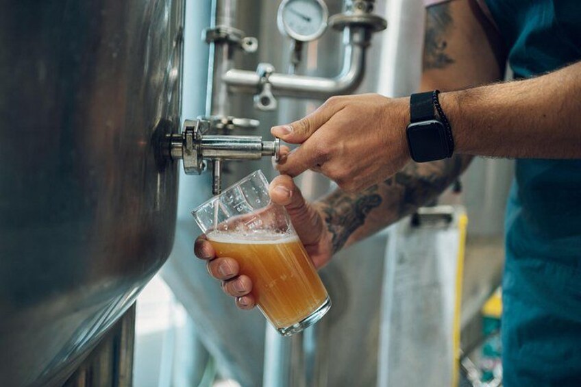 Beer Crawl – Local Brews, Cool Stops & Good Times | Basel 4