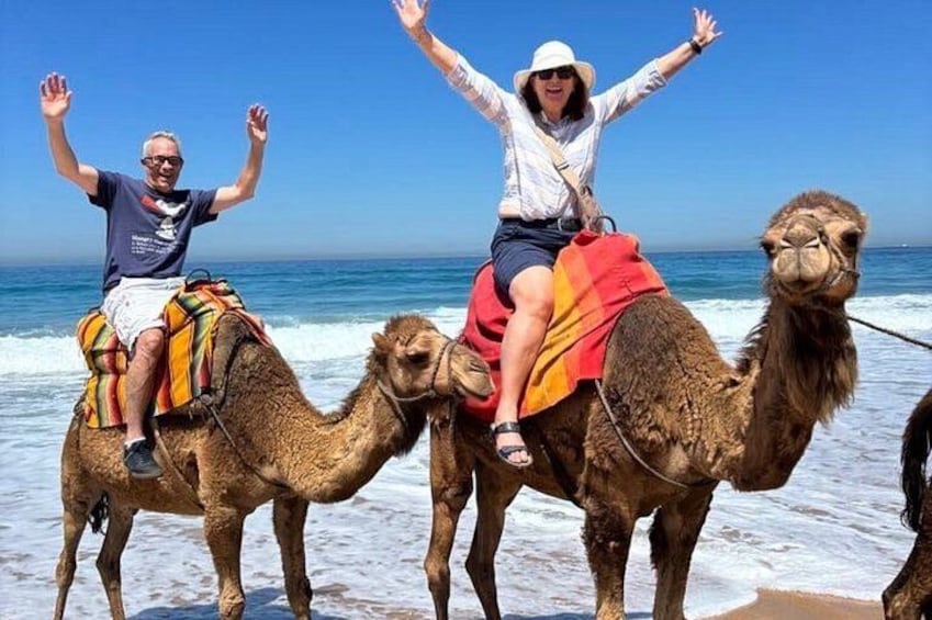 Dos personas montando camellos en una playa con el océano al fondo. 4