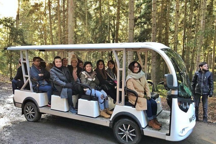 Een klein, wit busje met passagiers, geparkeerd aan de kant van de weg, met een bebost landschap op de achtergrond. 3