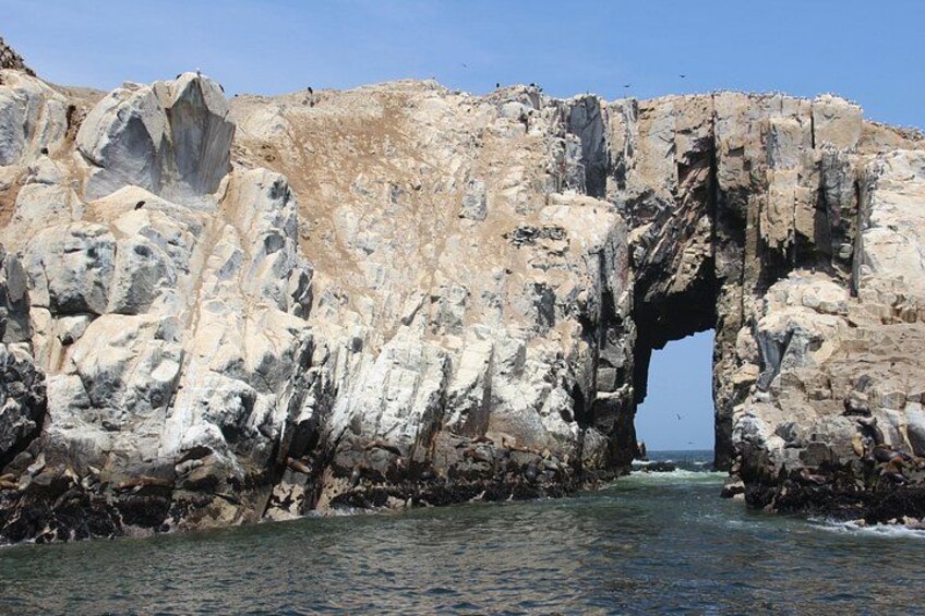 Eine zerklüftete Küstenlandschaft mit einer großen natürlichen Felsbrücke. 3