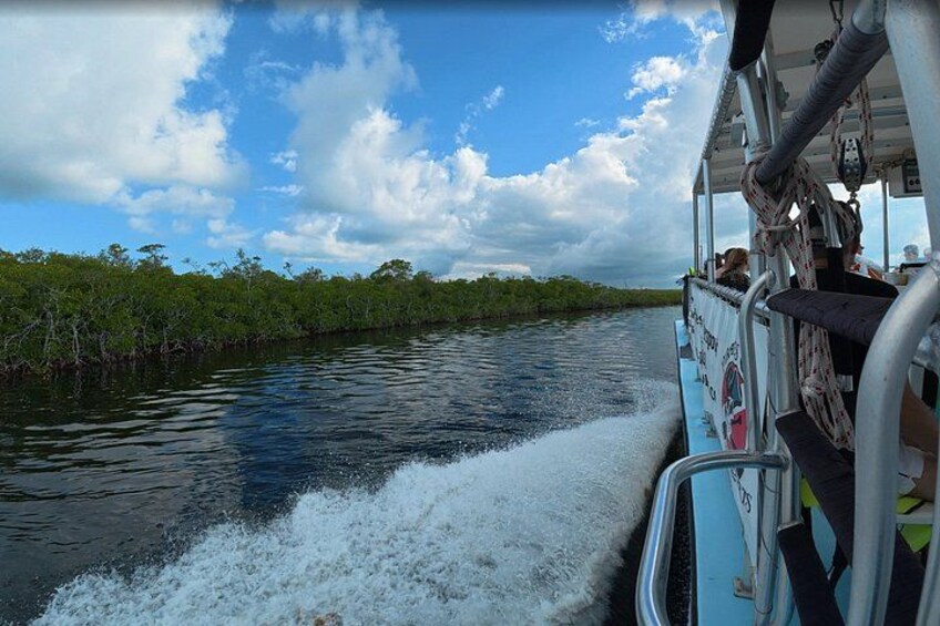 Half Day Snorkel Trip on Reefs in the Florida Keys 4