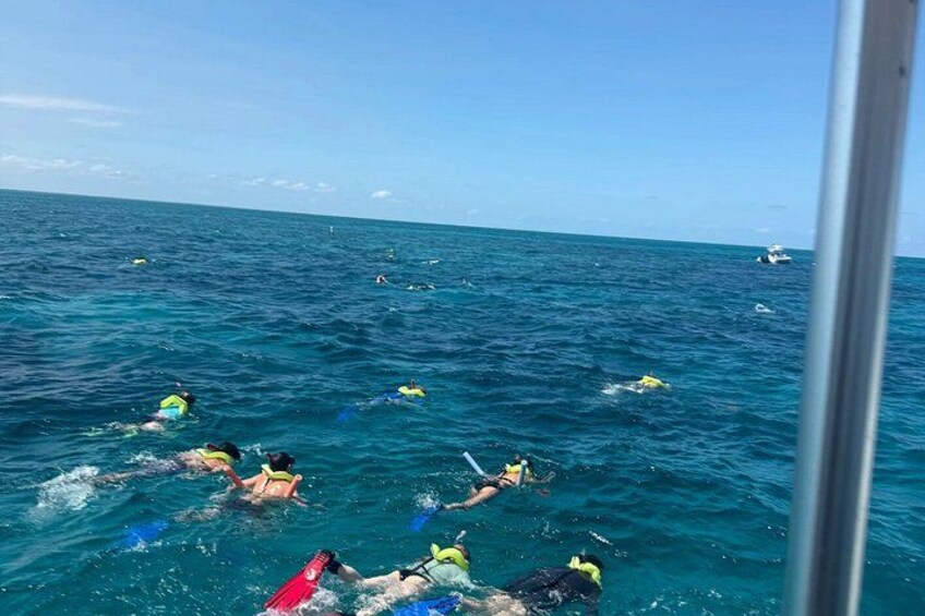 Half Day Snorkel Trip on Reefs in the Florida Keys 3